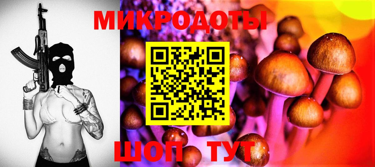 Электрогорск  Галлюциногенные грибы мицелий  Вход с VPN 